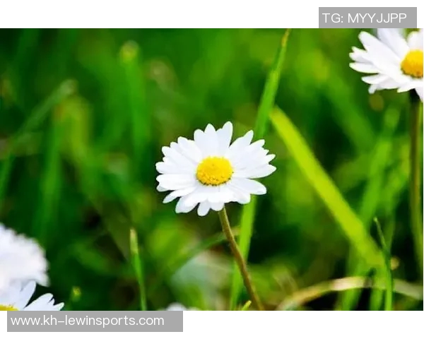 深度对话陈娜探寻她的排球人生与奋斗历程